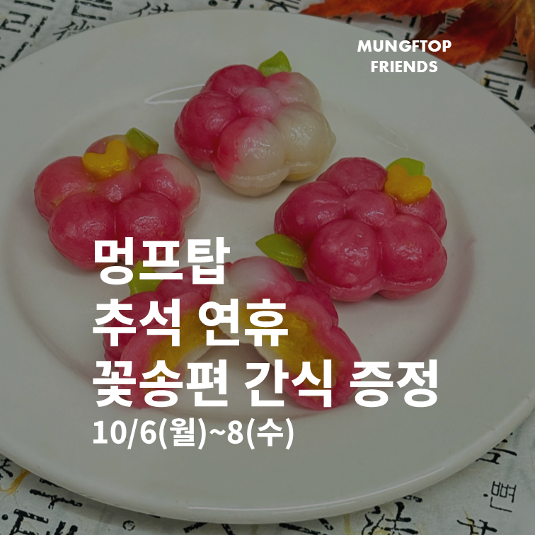 추석맞이 꽃송편 이벤트(2025.10.6~8)