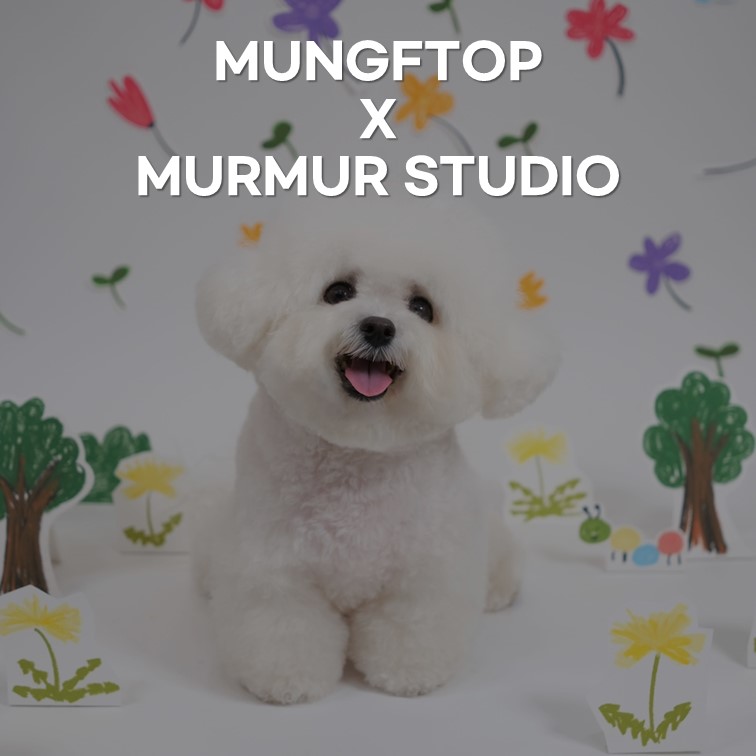 멀멀스튜디오 팝업 사진관(2024.02.15)